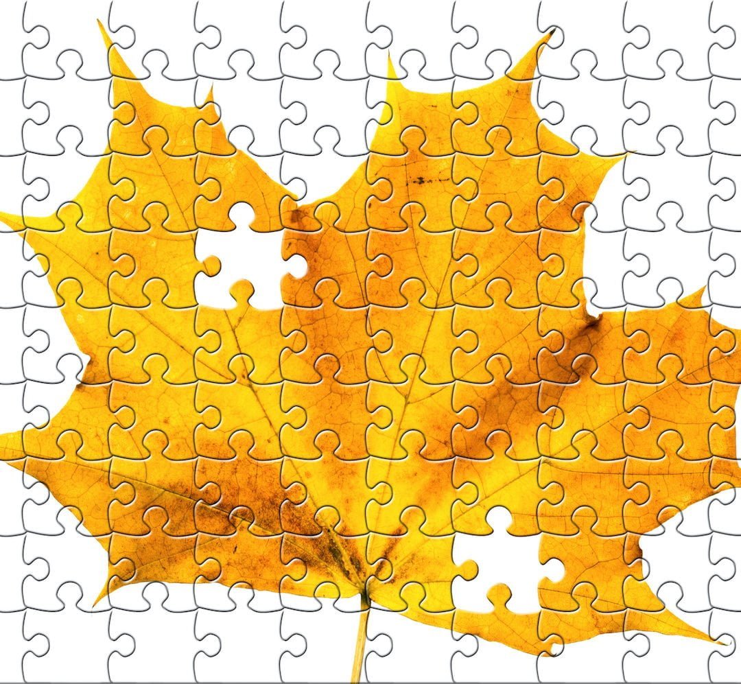 Autism, Asperger’s, ADHD and Autumn