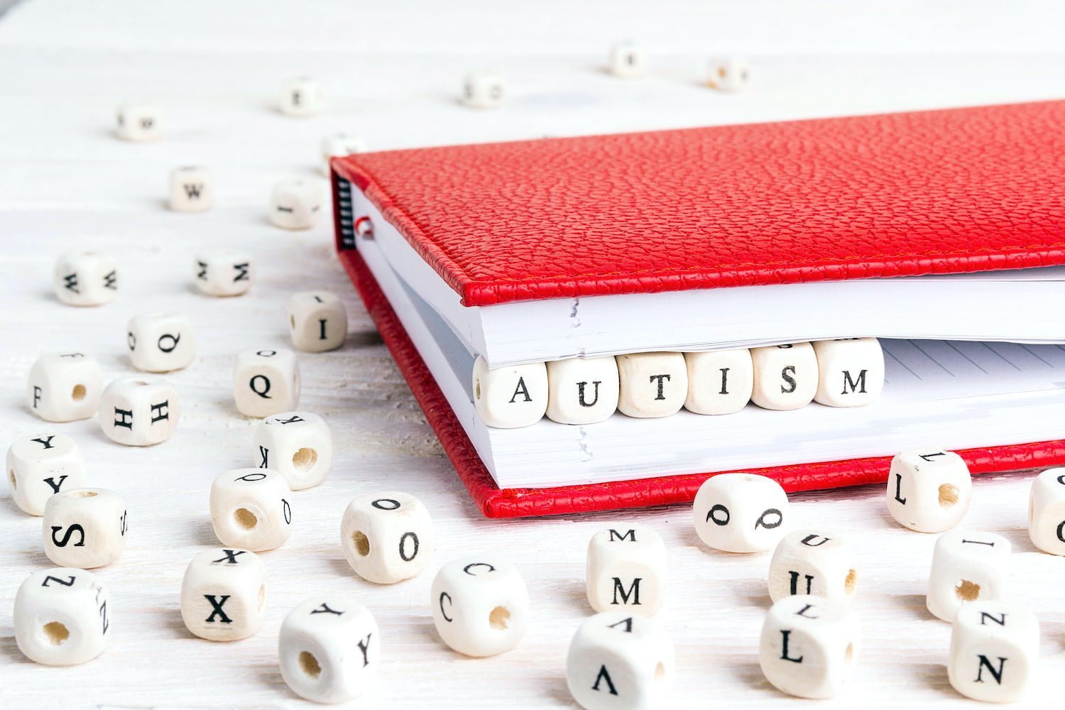 Book Review – Ido in Autismland