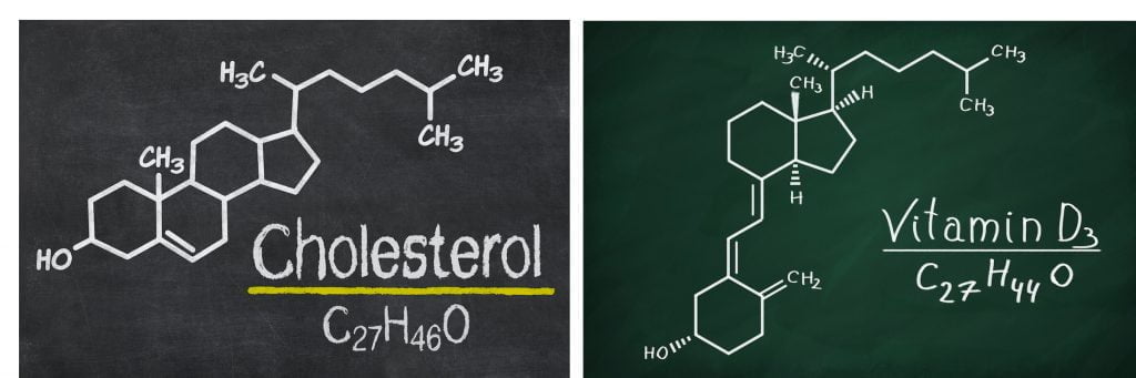 Cholesterol Vitamin D similarities